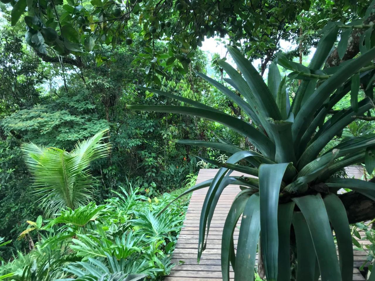 Pousada Rainforest House - Ilha Grande Kültér fotó